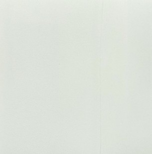 Pure White 9010 (2KSP)